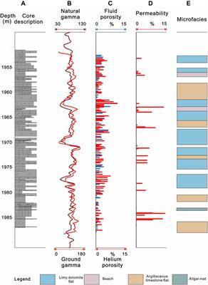Paleogene-Neogene ring-shaped sedimentary system and reservoir characteristics in the Western depression of the Qaidam Basin